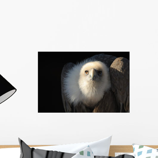 Snow Vulture Wall Mural