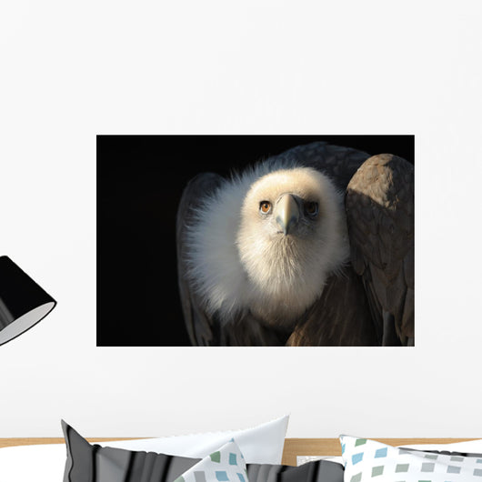 Snow Vulture Wall Mural
