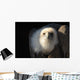 Snow Vulture Wall Mural
