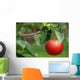 Red apple Wall Mural