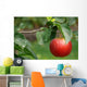 Red apple Wall Mural