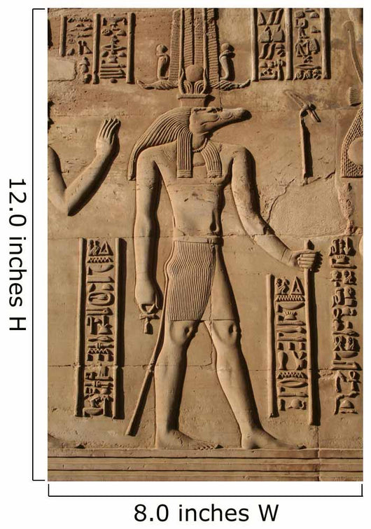 Carving of Sobek at Kom Ombo Wall Mural