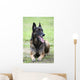 Malinois Wall Mural
