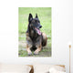 Malinois Wall Mural