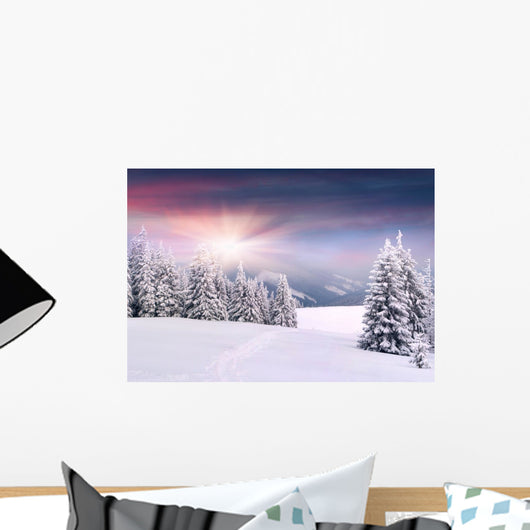 Beautiful Winter Landscape Mountains