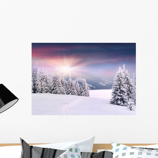 Beautiful Winter Landscape Mountains