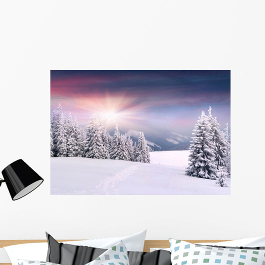 Beautiful Winter Landscape Mountains