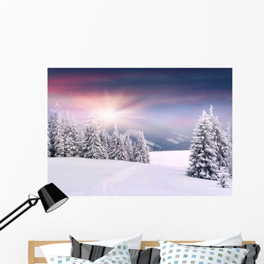 Beautiful Winter Landscape Mountains