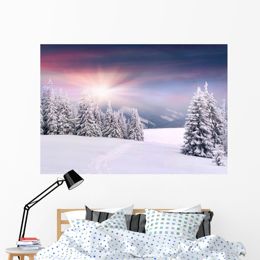 Beautiful Winter Landscape Mountains