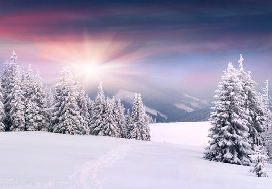 Beautiful Winter Landscape Mountains