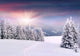 Beautiful Winter Landscape Mountains