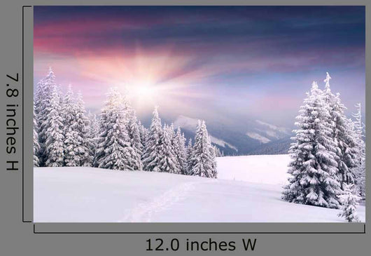 Beautiful Winter Landscape Mountains