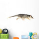 Four-eyed Opossum Wall Decal