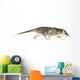 Four-eyed Opossum Wall Decal