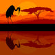 Heron Bird Silhouette Wild Wall Mural