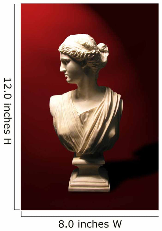 statue bust of a roman goddess Wall Mural