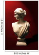 statue bust of a roman goddess Wall Mural