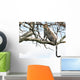 Leopard Tree Wall Mural