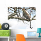 Leopard Tree Wall Mural