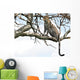 Leopard Tree Wall Mural