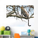 Leopard Tree Wall Mural