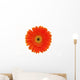 Orange Gerbera White Wall Mural