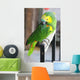 Parrot Wall Mural
