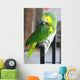 Parrot Wall Mural