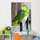 Parrot Wall Mural