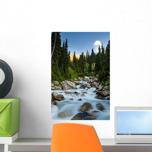 Long Exposure Image Mountain Wall Mural