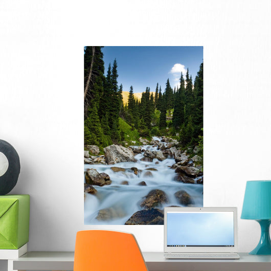 Long Exposure Image Mountain Wall Mural