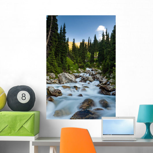 Long Exposure Image Mountain Wall Mural