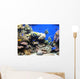 Underwater Fish Sea World America Wall Mural