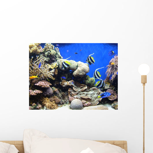 Underwater Fish Sea World America Wall Mural