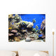 Underwater Fish Sea World America Wall Mural