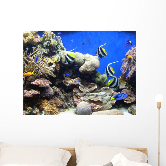 Underwater Fish Sea World America Wall Mural