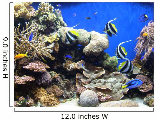 Underwater Fish Sea World America Wall Mural