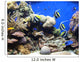 Underwater Fish Sea World America Wall Mural