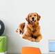 Golden Retriever Wall Decal