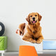 Golden Retriever Wall Decal