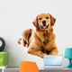 Golden Retriever Wall Decal