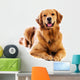 Golden Retriever Wall Decal