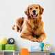 Golden Retriever Wall Decal