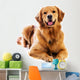 Golden Retriever Wall Decal