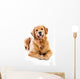 Golden Retriever Wall Decal