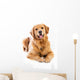 Golden Retriever Wall Decal