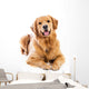 Golden Retriever Wall Decal