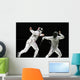 Fencing Wall Mural