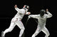 Fencing Wall Mural