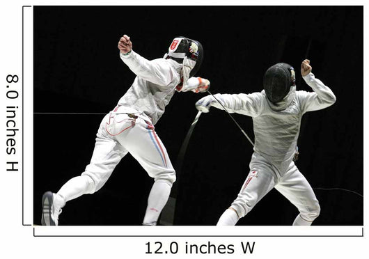 Fencing Wall Mural